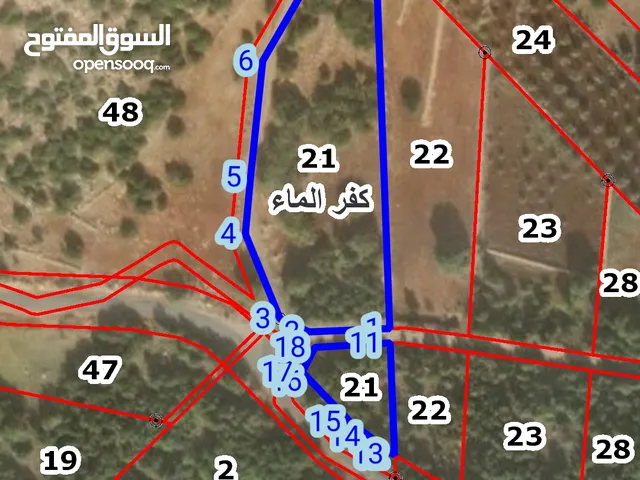 ارض اطلاله بتجننن
