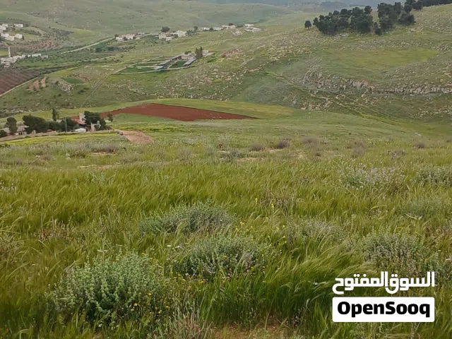 قطعه ارض في جرش للبيع