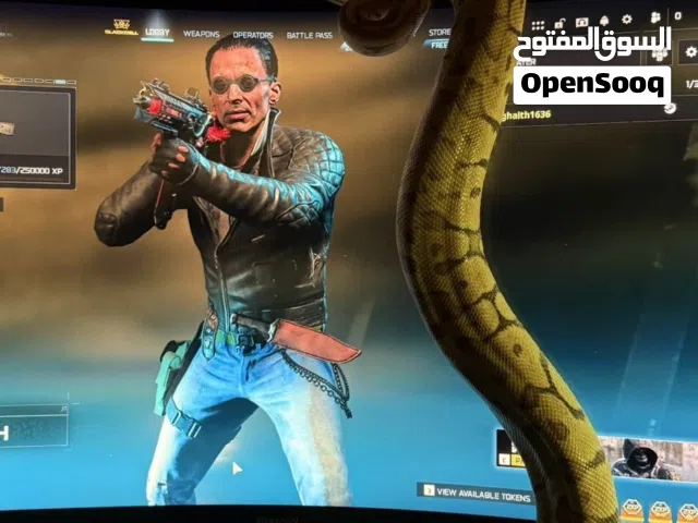 ثعبان ball python