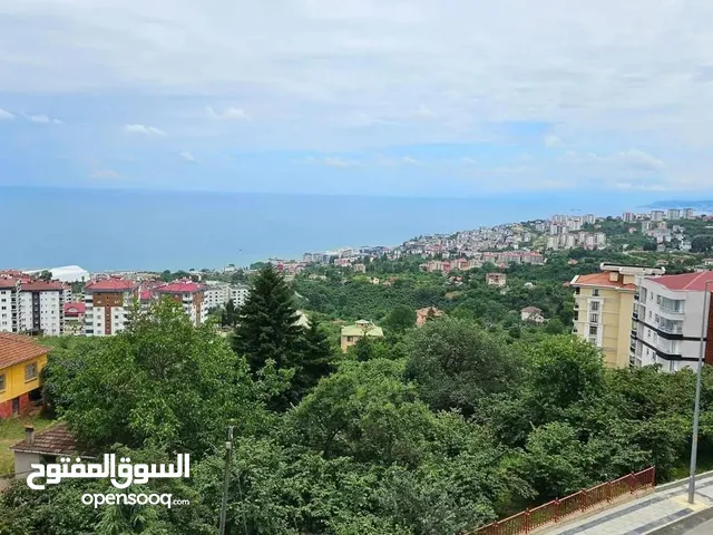 شقه للايجار في طرابزون اطلاله بحريه وبجانبها الجامع والماركت مع بلكونه بسعر رخيص لنهاية الموسم