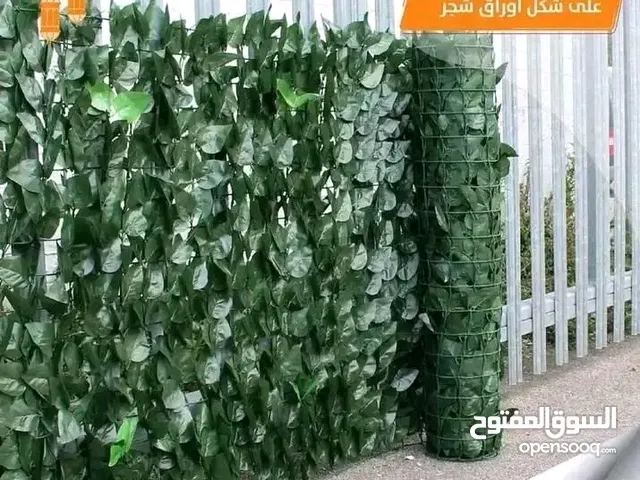 رول ورق شجر اخضر كثيف