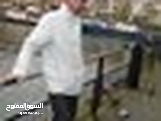 Ehab Ali