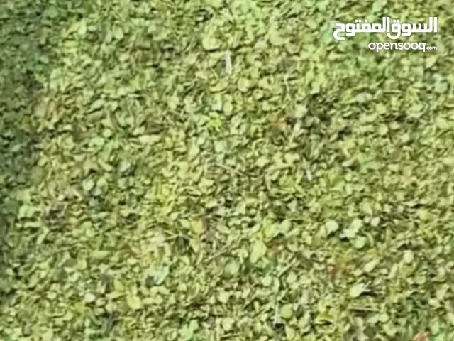 أوريغانو شيرازي ممتاز، طازج من حصاد هذا العام، بعطر سماوي من الدرجة الأولى