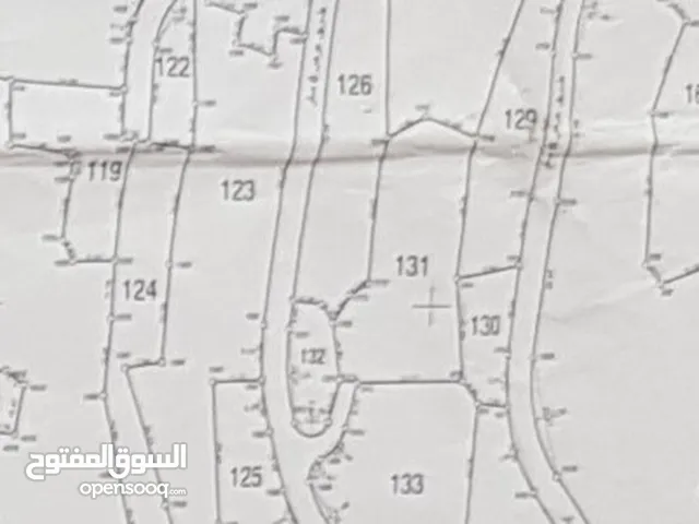 ارض بها اشجار زيتون للبيع