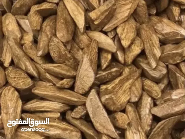 عود موروكي vip محسن