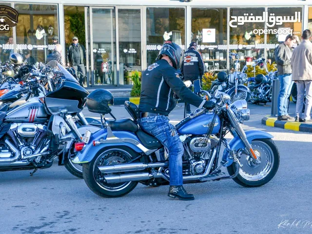 Harley Davidson Fat Boy 2011 in Amman