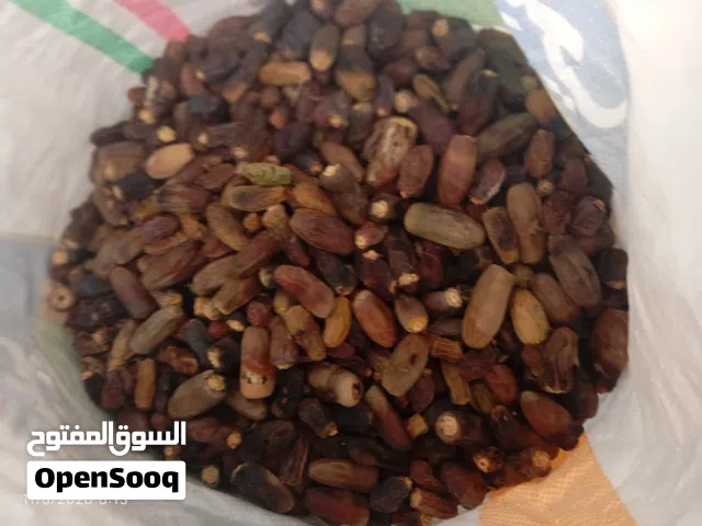 نفيعه  نغال هالسنه جواني كبار