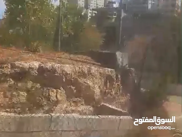 يوجد ارض مزوعه نخيل تمر مساحه 160دونم في الجفلك