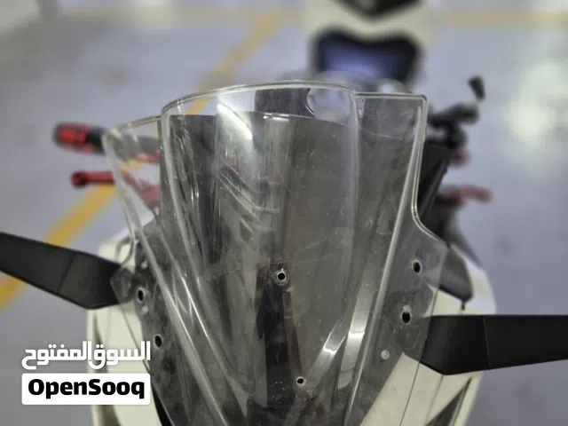 Transparent Ninja 300 2014 Front shield