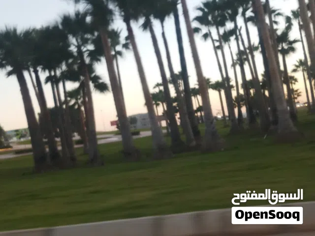 سيارات بالتقسيط