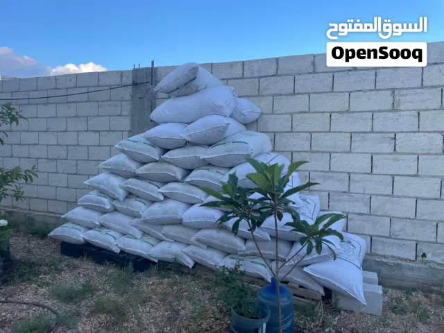 38 تبن بيقيا دراس السنه