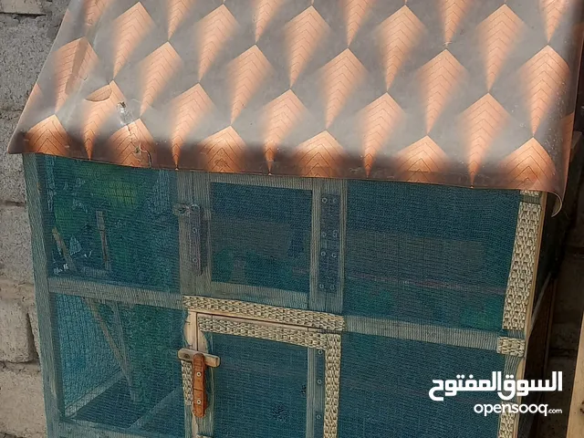 خانه ام ال3وقفص محميه بلابل طول متر وعرض متر وناجح بل إنتاج الوصف مهم