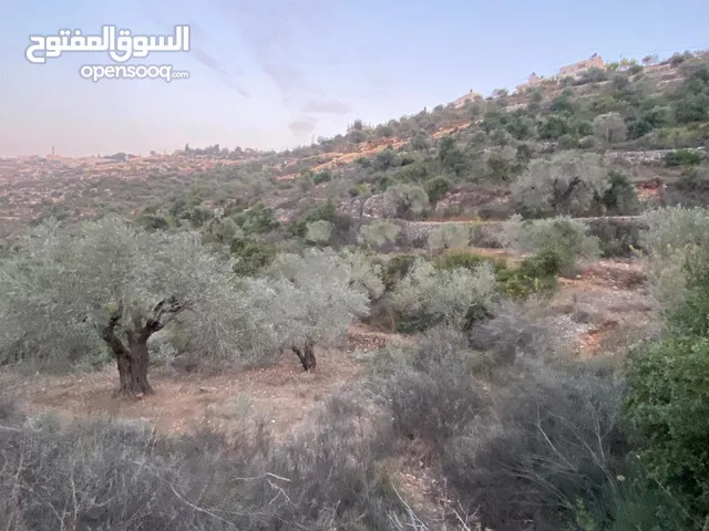 ارض للبيع (للاستثمار )