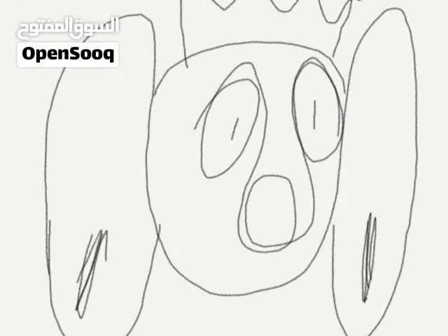 Furnished Monthly in Amman Swelieh