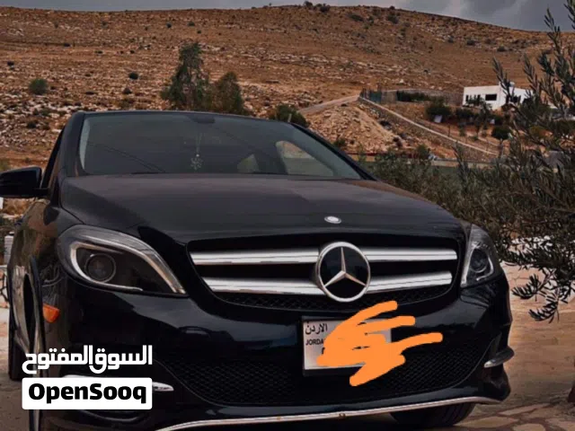 2014 Mercedes Benz B-Class B 250