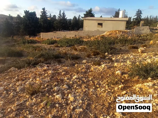 Residential Land for Sale in Jebel Akhdar Cyrene