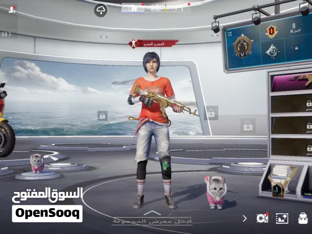 Pubg Accounts and Characters for Sale in Babylon