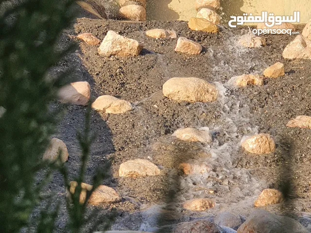 مطعم اسماك طازجة واستراحة بمكان مميز للضمان