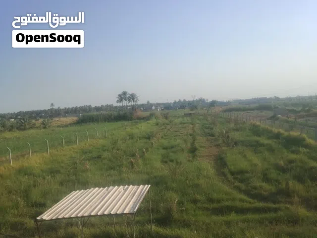 ارض للاستثمار تحتوي على بستان