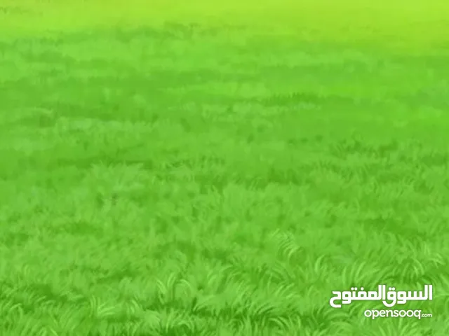 Farm Land for Sale in Abu Dhabi Other