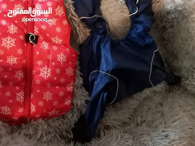 السلام عليكم اخوان يوجد لديناء اغرض قطط