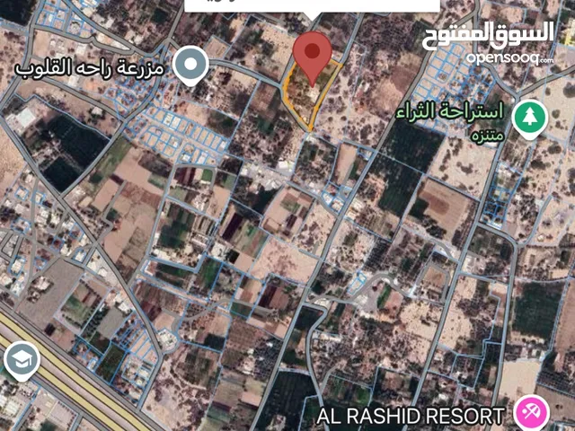 Farm Land for Sale in Al Batinah Al Masnaah