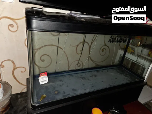 حوض الاسماك صغيره ومتوسطة مع كبت