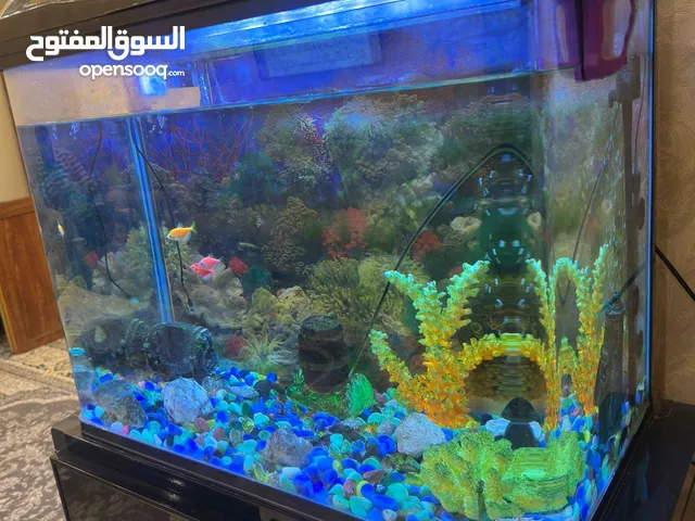 السلام عليكم حوظ مال سمج كلش نظيف 150 وبي مجال العنوان البصره حي المهندسين