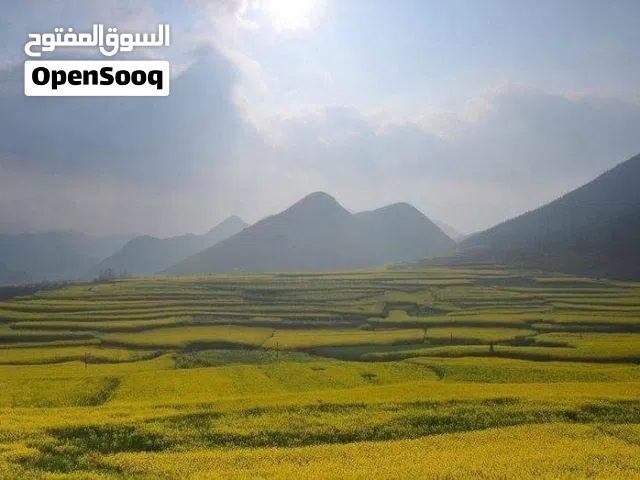 ابحث عن فرصة عمل مهنة عامل لانضمام ف اسرع وقت