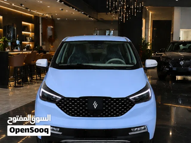 2026 جاي ام اي في EV3
