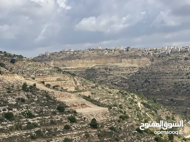 ارض كوشان طابو منطقة كريسه