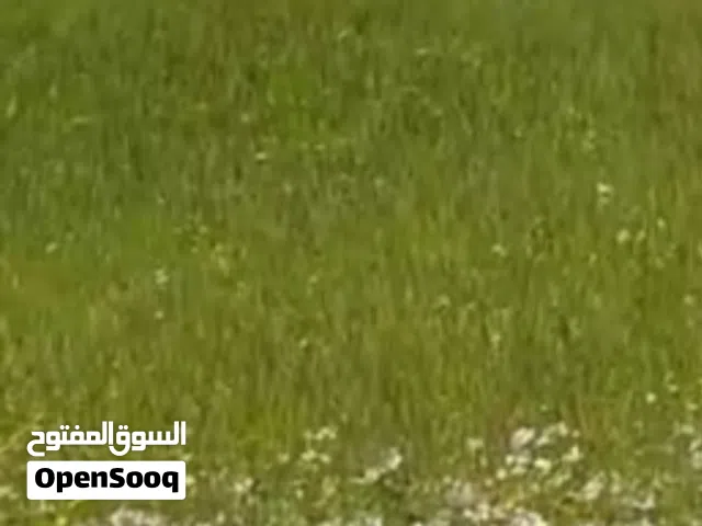 للبيع المستعجل 3140 دنم  تبعد عن المطار 12كيلو