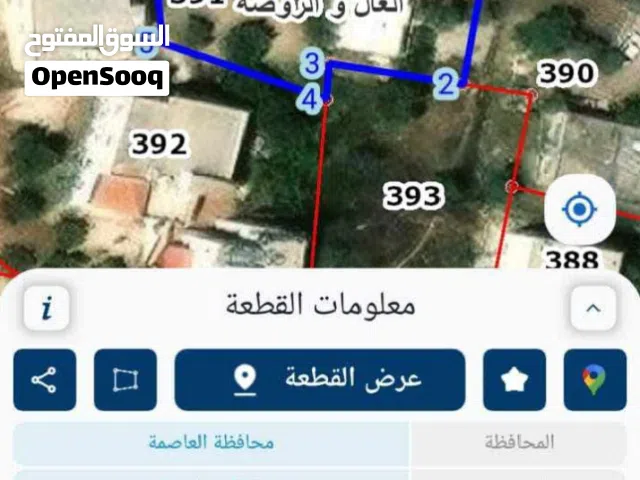 قطعه أرض للبيع مساحه 881 متر حوض الزجيبه من اراضي ناعور