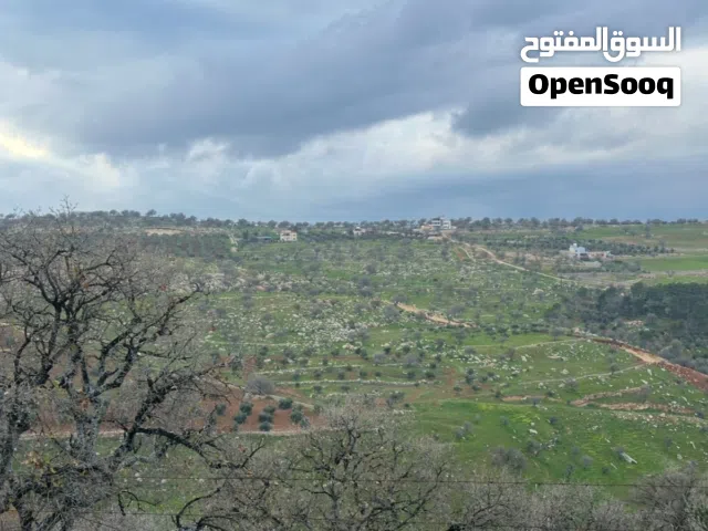 Farm Land for Sale in Zarqa Al-Alouk