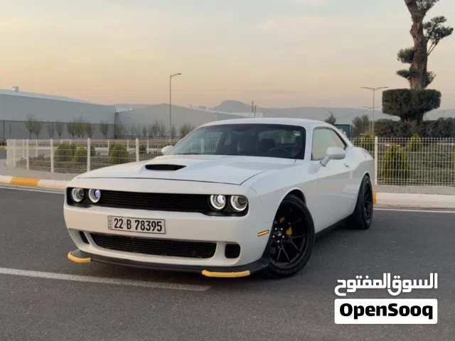 Used Dodge Challenger in Basra