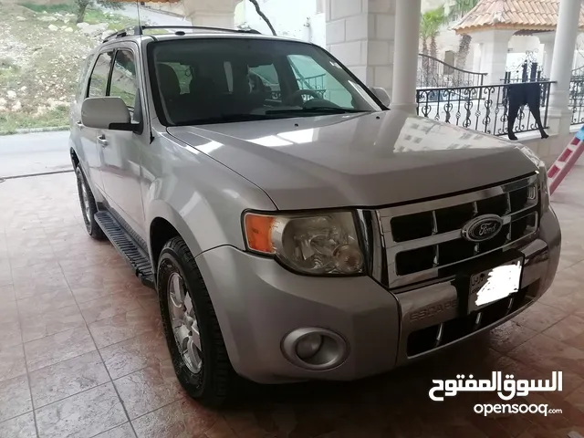 Used Ford Escape in Salt