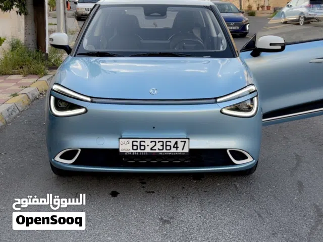 2025, دونج فينج, نامي بوكس