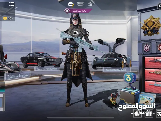 حساب ببجي فخم نبذه بسيطه عنه