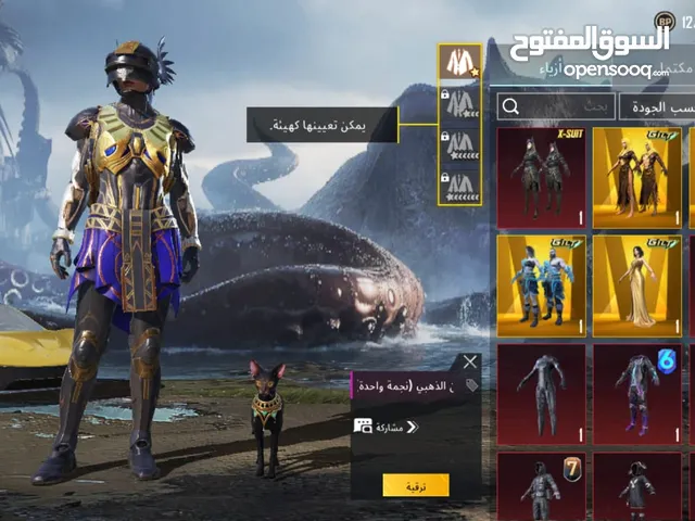 Pubg Accounts and Characters for Sale in Mecca