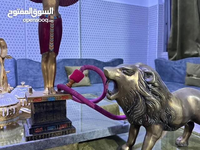 اسد نكاس مع اركيله مصريه نحاس