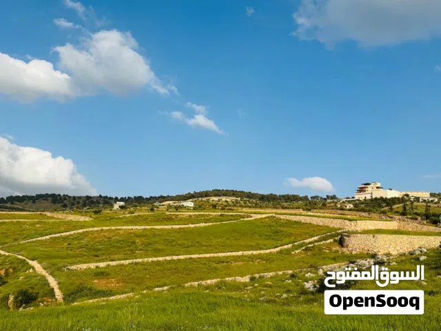 اجمل واعلى قطعه في عنيبه حوض ابو الرمل اطلاله بانوراما على المدينه السياحيه البيئيه الجديده