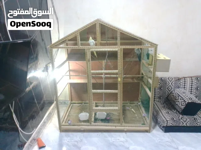للبيع القفص وزوج كوكتيل اقراء الوصف مكاني سفوان