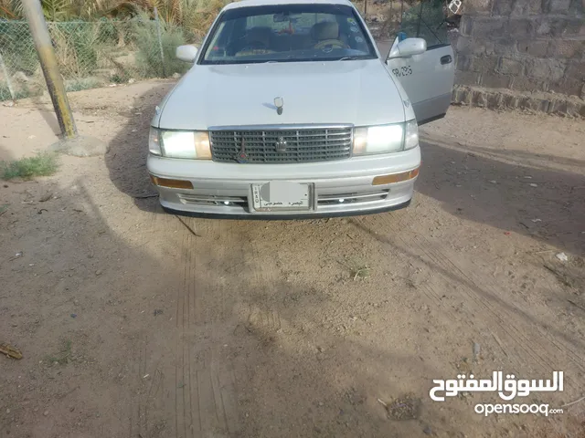 بطه فصل لون لؤلؤي