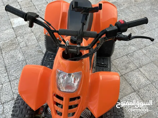 ميني بانشي 2023