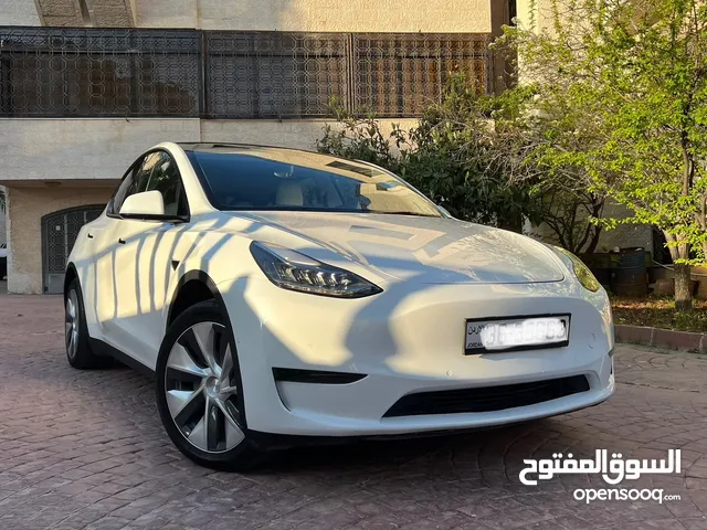 Tesla model Y 2021