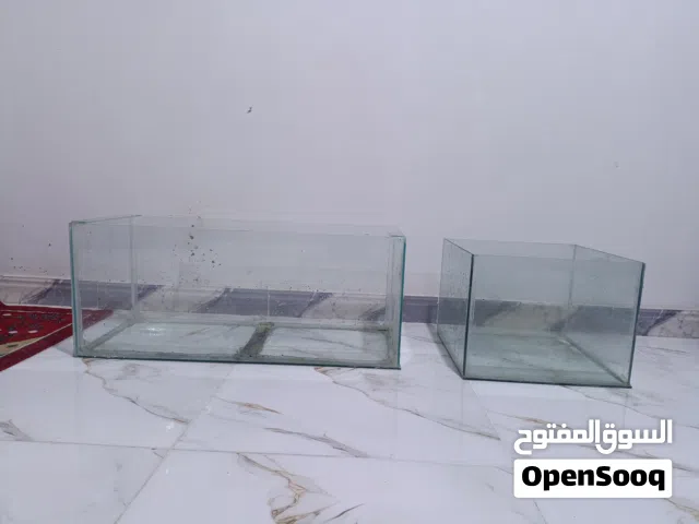 احواض سمك مال تعزيله محل متر ونص متر