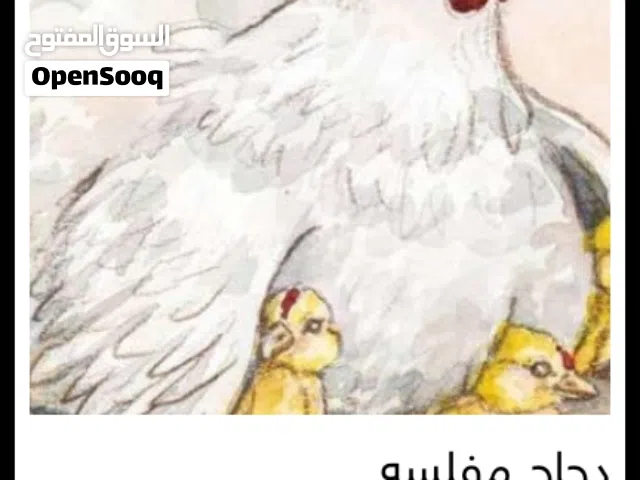 دجاجة امفلسة