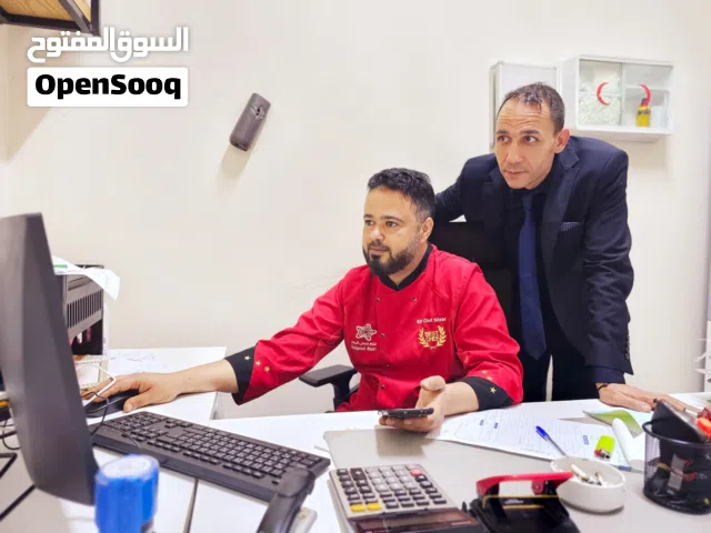 بشير البجاوي