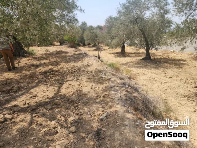 Residential Land for Sale in Salfit Al Mintaqa Al Sharqia