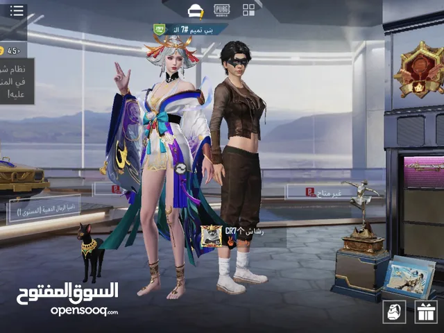 Pubg Accounts and Characters for Sale in Sana'a